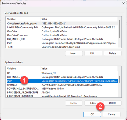 Locate the correct Path-environment variable